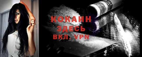 первитин Новодвинск