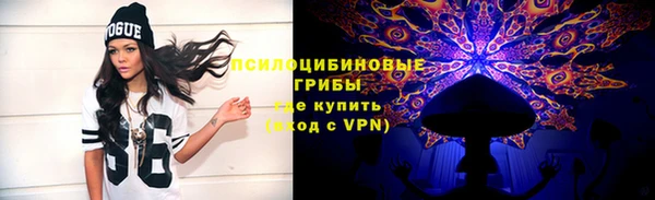 первитин Новодвинск