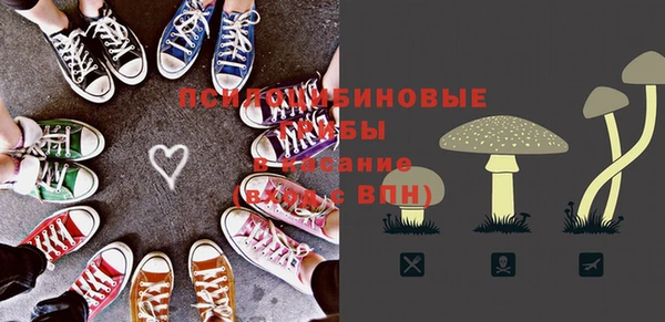 первитин Новодвинск