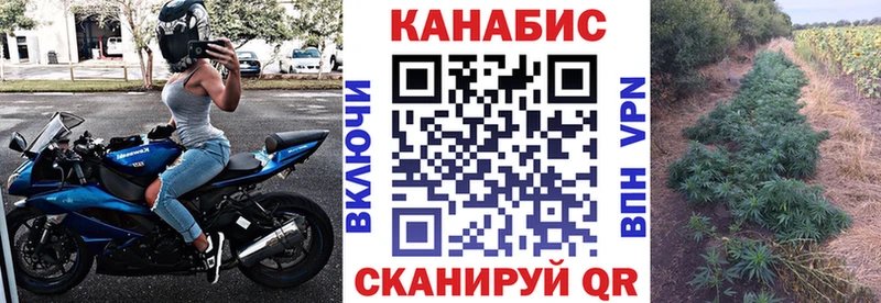 Шишки марихуана MAZAR  где найти   Торопец 